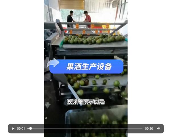 李子酒生產設備 果酒設備