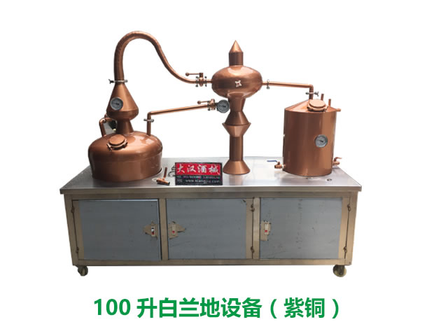 白蘭（lán）地（dì）釀酒設備（bèi），果酒蒸餾設備