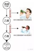 <b>不（bú）上（shàng）頭的好酒有哪些？為什麽（me）酒喝（hē）上頭（tóu）呢？</b>